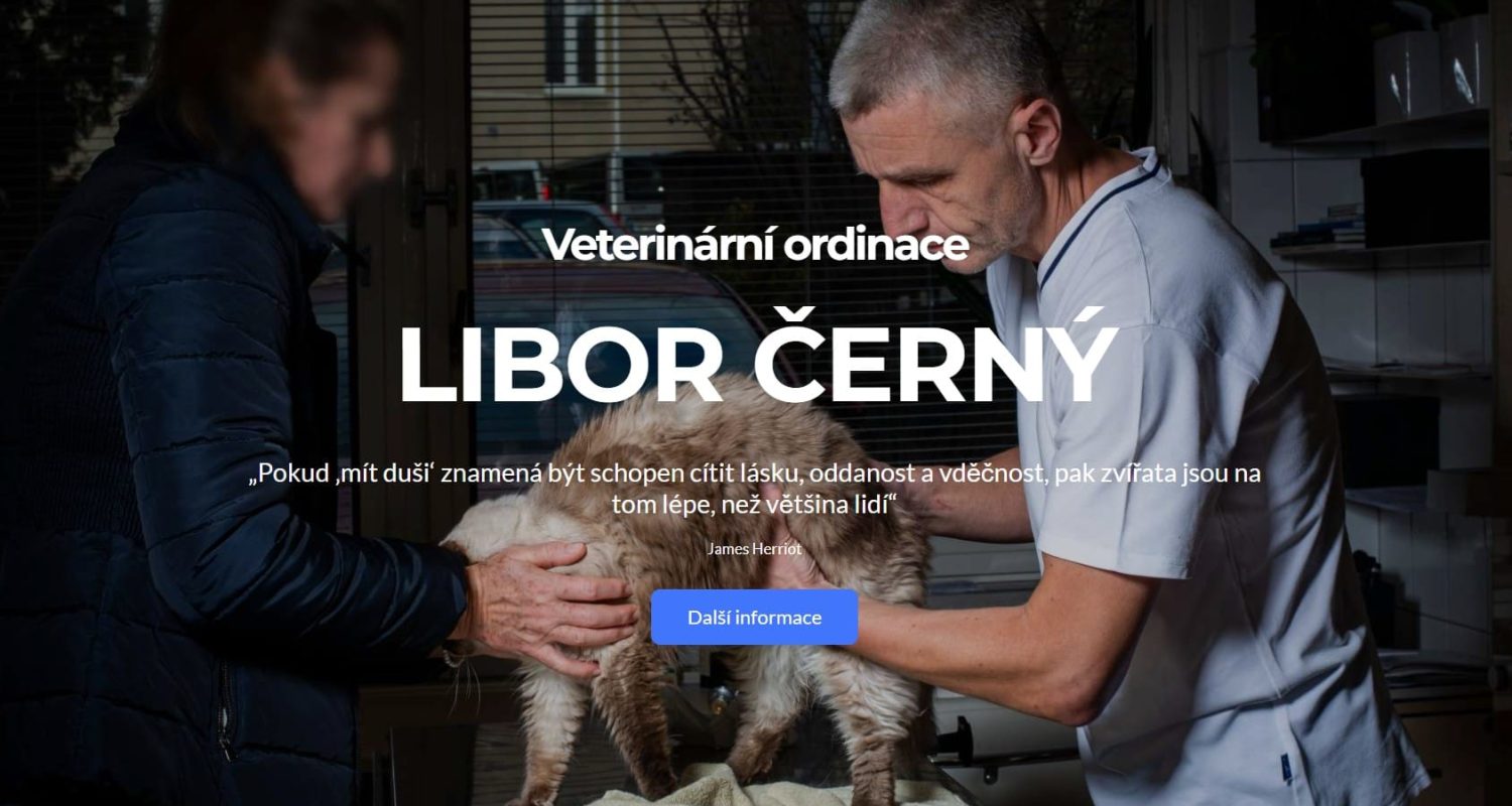 Snímek obrazovky 2025-04-13 094752